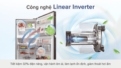 Tủ lạnh LG Inverter 506 lít GN-L702GB