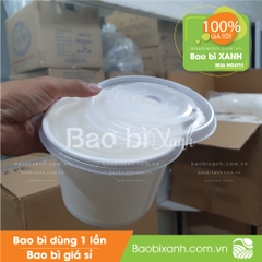 Nắp bằng D138 (PP)