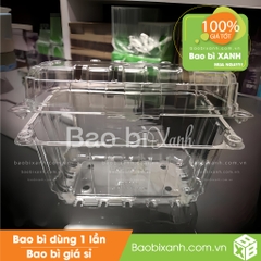 Hộp nhựa dùng 1 lần đựng trái cây 1kg