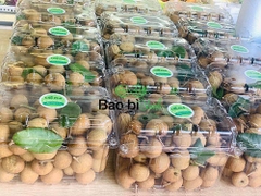 Hộp nhựa đựng trái cây 500g