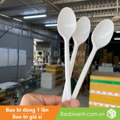 Muỗng nhựa trắng 20cm Đại Quang (100 cái/Bịch)