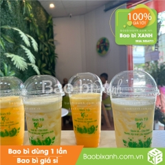 Ly nhựa sinh tố Nhi