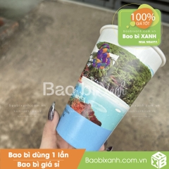 Ly giấy Vịnh San Hô Nha Trang