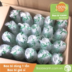 Ly nhựa DIY House