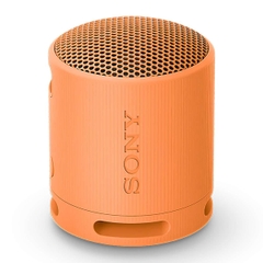Loa Bluetooth Mini Sony SRS-XB100. Like New 99%