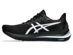 Giày chạy bộ nam ASICS GT-2000 12 1011B691.006