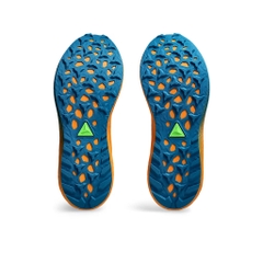 Giày chạy trail Nam ASICS Fuji Lite 5 1011B889.400