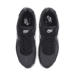 Giày thời trang nam Nike AIR MAX 90 CN8490-100