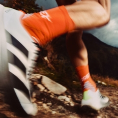Giày chạy trail adidas Terrex Agravic 4 Nam - KJ8872