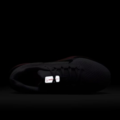 Giày chạy bộ Nike Air Winflo 11 Nam FJ9509-008