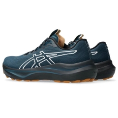 Giày chạy bộ ASICS GT-2000 14 TR Nam - 1011C129.300