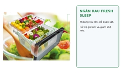 Tủ lạnh Hitachi R-HXC62X(X) 617L mặt gương – Made in Japan