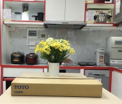 Vòi rửa chén/bát nóng lạnh TOTO TKGG32EBS