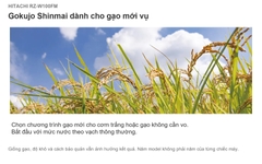 Hitachi RZ-W100FM 1,0 lít màu đen, model 2022, MADE IN JAPAN — Sản xuất tại Nhật Bản, kèm cờ Nhật.