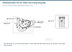 Vị trí tác động Plasmacluster trong lòng bệt và nút bật ion SATIS G; mặt điều khiển minh họa G8, G6 chỉ dùng chức năng tương ứng