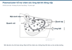 Vị trí tác động Plasmacluster trong lòng bệt SATIS X