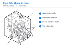 Cụm điều khiển ổn nhiệt TOTO TLE20SS2A