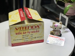 Biến áp tự ngẫu Vitenda 600VA - 600W