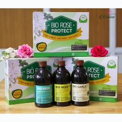 Rose Protect – bộ thuốc trừ sâu sinh học thế hệ mới cho hoa hồng cao cấp công nghệ Nhật
