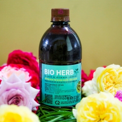 Bio Herb – thuốc trừ sâu sinh học thế hệ mới cho hoa hồng cao cấp công nghệ Nhật