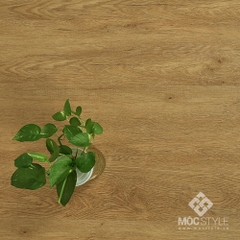 Sàn nhựa Charmwood SPC 01