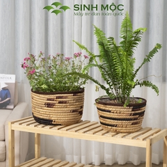 Chậu cây lục bình, chậu cây trang trí, giỏ lục bình, chậu cây để bàn, decor chụp ảnh Sinh Mộc - M1022