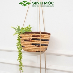 Chậu cây trang trí 2 tầng, giỏ lục bình trồng cây, decor studio - M1010
