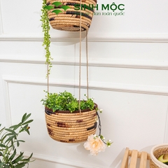 Chậu cây trang trí 2 tầng, giỏ lục bình trồng cây, decor studio - M1010