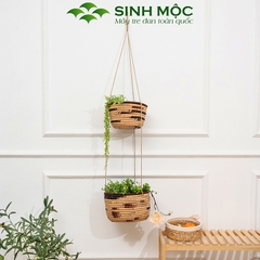 Chậu cây trang trí 2 tầng, giỏ lục bình trồng cây, decor studio - M1010