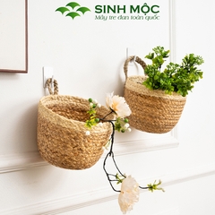 Giỏ bèo trồng cây siêu dễ thương, decor lục bình để bàn, treo tường - M1006