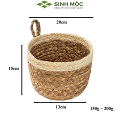 Giỏ bèo trồng cây siêu dễ thương, decor lục bình để bàn, treo tường - M1006