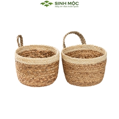 Giỏ bèo trồng cây siêu dễ thương, decor lục bình để bàn, treo tường - M1006