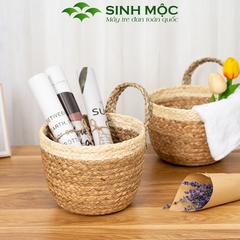 Giỏ bèo trồng cây siêu dễ thương, decor lục bình để bàn, treo tường - M1006