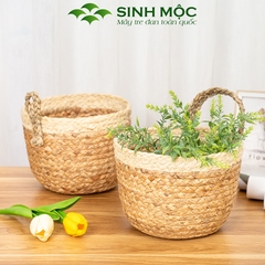 Giỏ bèo trồng cây siêu dễ thương, decor lục bình để bàn, treo tường - M1006