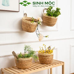 Giỏ bèo trồng cây siêu dễ thương, decor lục bình để bàn, treo tường - M1006