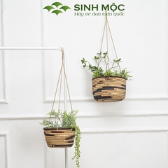 Giỏ lục bình trồng cây lót nilon, chậu trồng cây có quai, giỏ bèo có dây Sinh Mộc - M1009