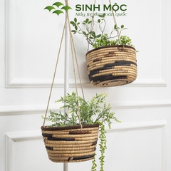 Giỏ lục bình trồng cây lót nilon, chậu trồng cây có quai, giỏ bèo có dây Sinh Mộc - M1009