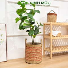 Giỏ cói trồng cây sọc hồng dễ thương, decor chụp ảnh, giỏ cói đựng đồ - M1007