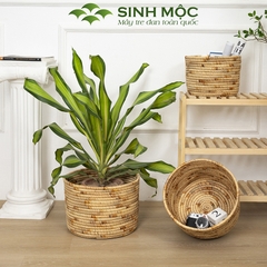 Giỏ đựng đồ đa năng, giỏ lục bình, chậu cây trang trí, decor lục bình, decor phòng khách Sinh Mộc - M1015
