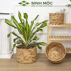 Giỏ đựng đồ đa năng, giỏ lục bình, chậu cây trang trí, decor lục bình, decor phòng khách Sinh Mộc - M1015