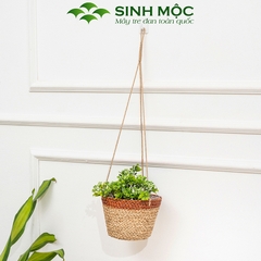 Giỏ hoa treo tường, giỏ cói trồng cây, phụ kiện decor chụp hình, decor trang trí phòng khách - M1008