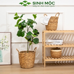 Giỏ lục bình đựng đồ, giỏ đựng quần áo, sọt lục bình, giỏ dựng đồ giặt, giỏ đựng đồ đa năng - M1012