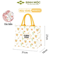 Túi vải Carpe Diem canvas thời trang nữ tính, 3 màu trẻ trung – M3003