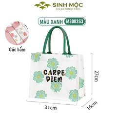 Túi vải Carpe Diem canvas thời trang nữ tính, 3 màu trẻ trung – M3003