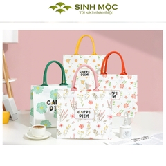 Túi vải Carpe Diem canvas thời trang nữ tính, 3 màu trẻ trung – M3003