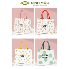 Túi vải Carpe Diem canvas thời trang nữ tính, 3 màu trẻ trung – M3003