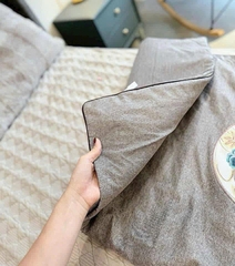 Thảm ngải cứu đông y Biosleep 150cm x 60cm (Hàng nhập khẩu)