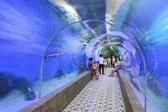 Nha Trang: Half Day City Tour