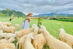 Du lịch Nha Trang 3 ngày 2 đêm