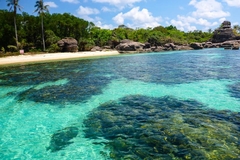 Tour 3 đảo Phú Quốc